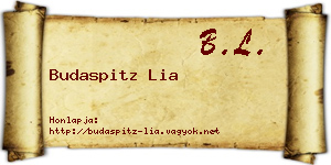 Budaspitz Lia névjegykártya